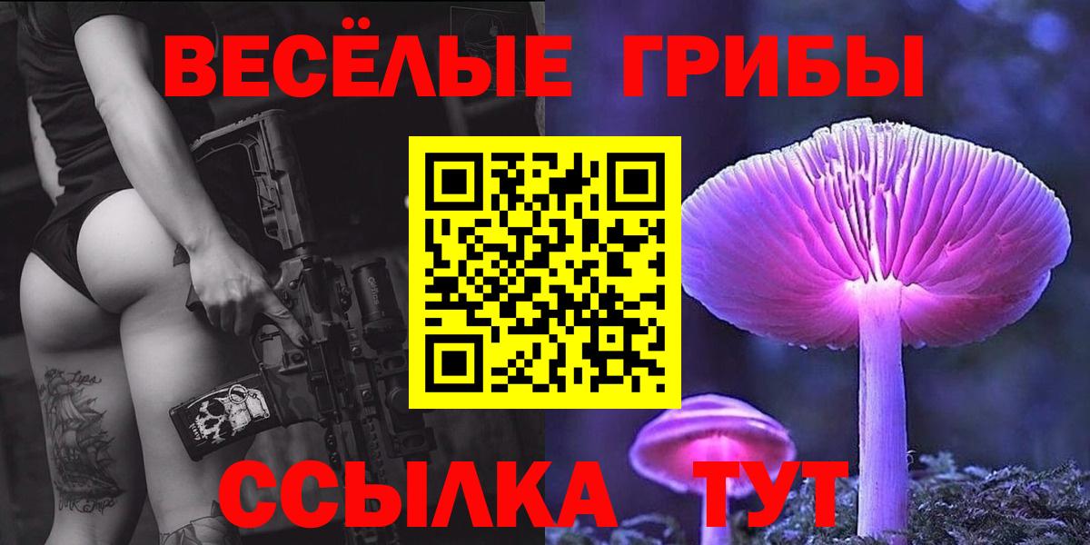 Псилоцибиновые грибы GOLDEN TEACHER Рославль